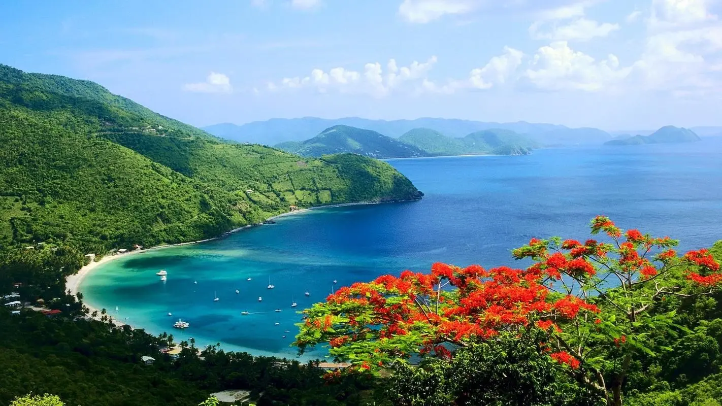 高性能智能新型